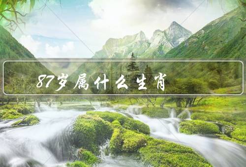 87岁属什么生肖（性格特点／职业发展／健康状况）