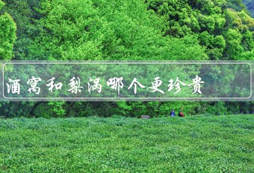 酒窝和梨涡哪个更珍贵，珍贵、梨涡的特殊之处、与梨涡的比较