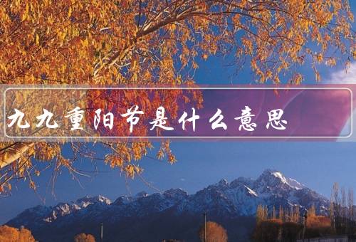 九九重阳节是什么意思（起源、庆祝活动、象征意义）