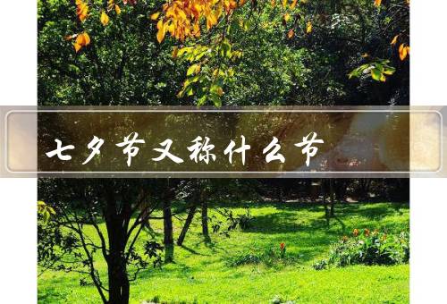 七夕节又称什么节（起源、习俗、传统故事）