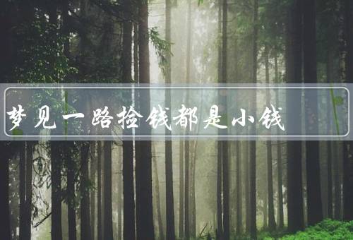 梦见一路捡钱都是小钱（经济拮据、辛勤努力、财富积累）