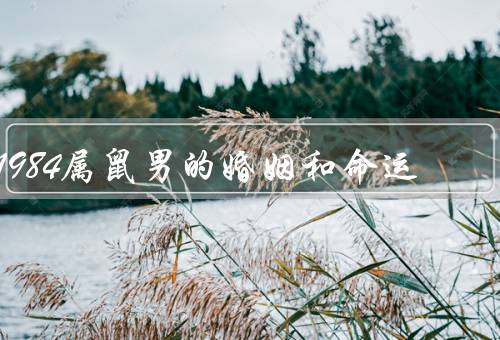 1984属鼠男的婚姻和命运，理性与感性的婚姻观／情感上的挑战