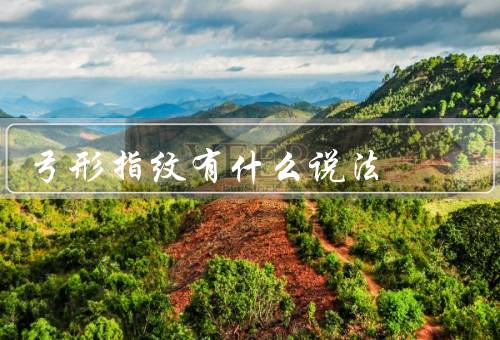 弓形指纹有什么说法，定义／特征／应用