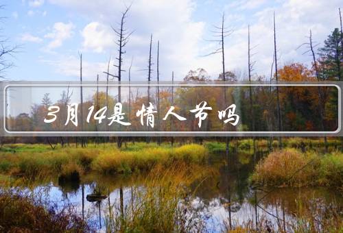 3月14是情人节吗，传统情人节、3月14的特殊意义