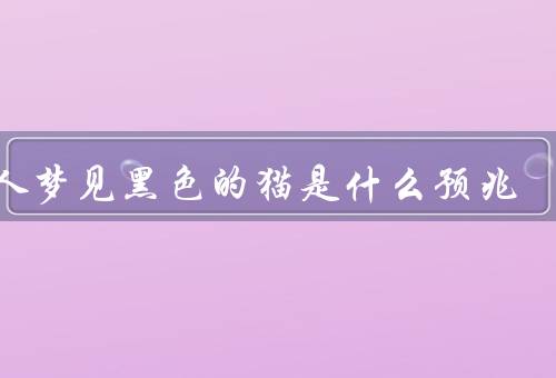 女人梦见黑色的猫是什么预兆，黑猫的象征／可能的预兆／如何应对