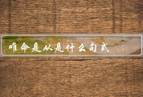 唯命是从是什么句式（起源／应用场景／意义和争议）