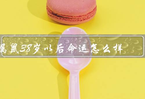 属鼠38岁以后命运怎么样（事业发展、家庭关系、健康养生）