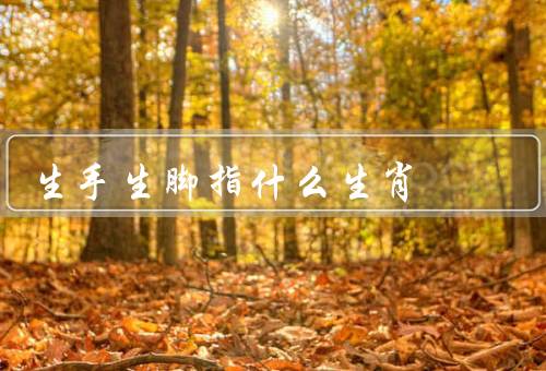 生手生脚指什么生肖，性格特点／与其他生肖相处关系／运势