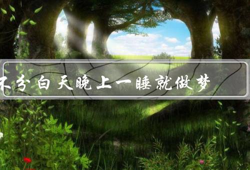 不分白天晚上一睡就做梦（深度、与现实的联系）
