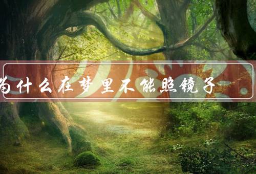 为什么在梦里不能照镜子，中的镜子、意识的错乱、独特性