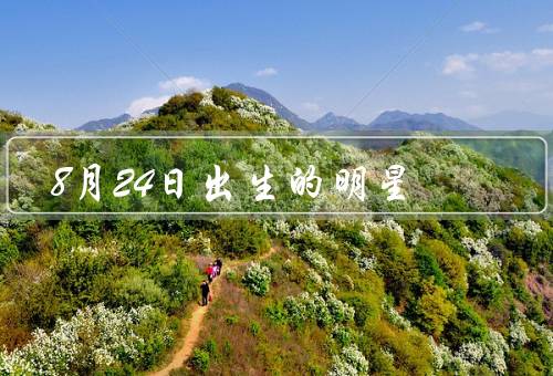 8月24日出生的明星（田亮／陈坤／卡麦蓉）