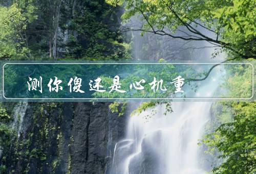 测你傻还是心机重，表现／心机重的表现／与心机的取舍