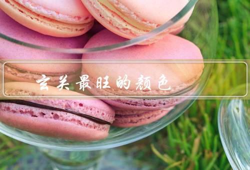 玄关风水最旺的颜色，红色／绿色
