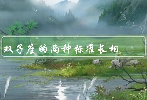 双子座的两种标准长相（清秀灵动、俊朗阳光、多样化长相）
