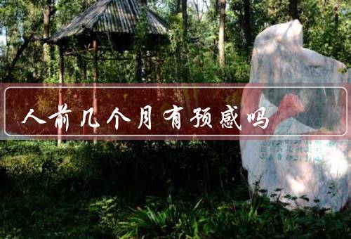 人死前几个月有预感吗（科学研究、心理学解释、个体差异）