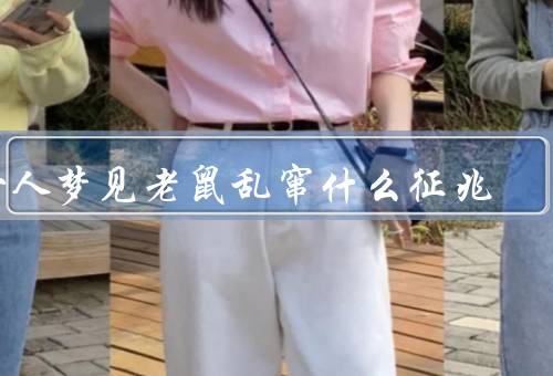 女人梦见老鼠乱窜什么征兆（梦境解析、内在压力、行动与解决）