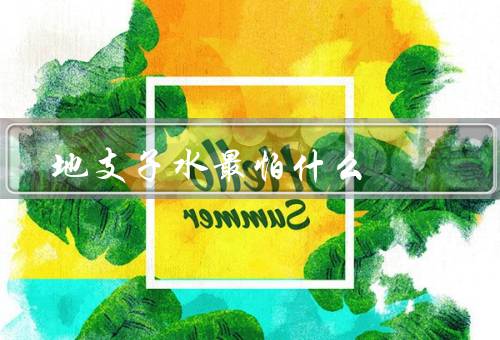地支子水最怕什么（亲人、工作、自由）