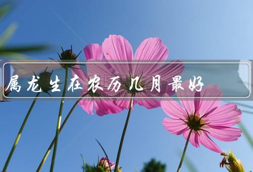 属龙生在农历几月最好（春节前的属龙人、夏季的属龙人）