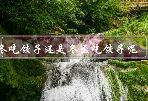 立冬吃饺子还是冬至吃饺子呢，立冬吃饺子、冬至吃饺子、结语