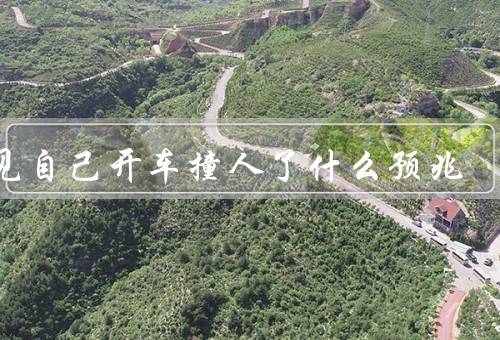 梦见自己开车撞死人了什么预兆（梦境的象征意义／内心的焦虑和压力）