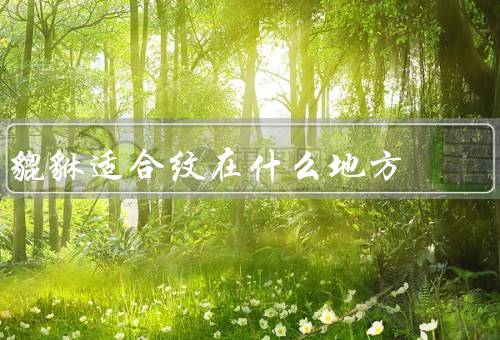 貔貅适合纹在什么地方最佳，手腕／背部／手指