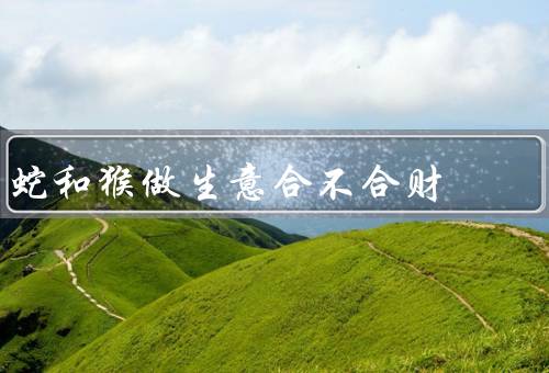 蛇和猴做生意合不合财（个性差异／优势互补／案例分析）