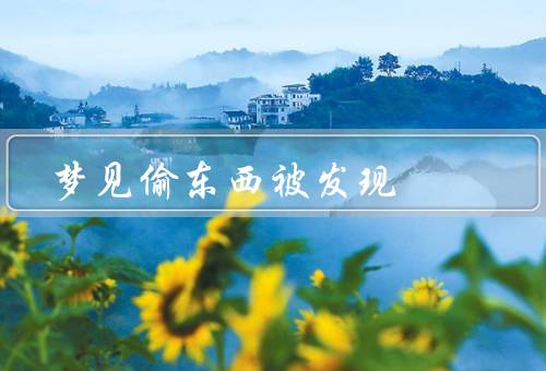 梦见偷东西被发现，偷窃行动／被发现的尴尬／内心的反思
