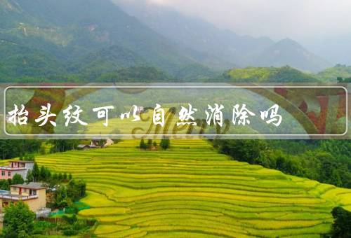 抬头纹可以自然消除吗，护肤方法、面部运动、医学美容方法