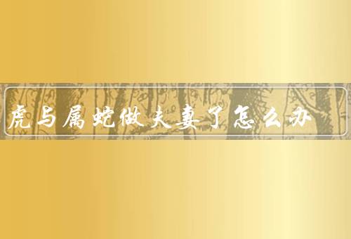 属虎与属蛇做夫妻了怎么办，性格差异／家庭观念／相互补足