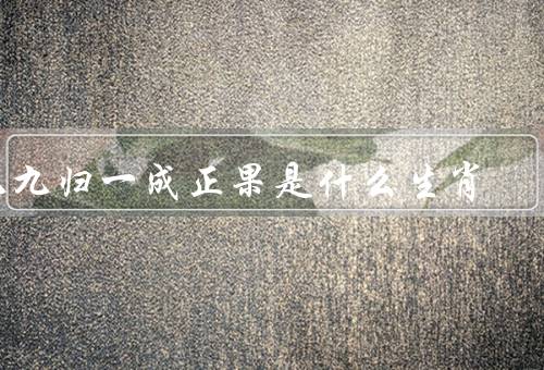 九九归一成正果是什么生肖（属猪的生肖／寓意）