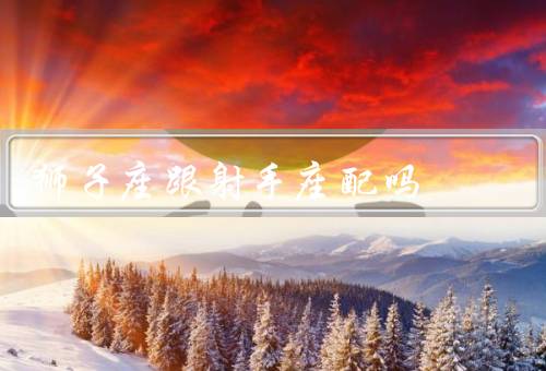 狮子座跟射手座配吗，领导力和射手座的冒险精神