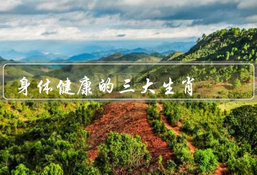 身体健康的三大生肖，龙／猴／鸡