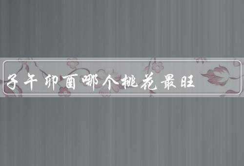 子午卯酉哪个桃花最旺（子、午、酉）