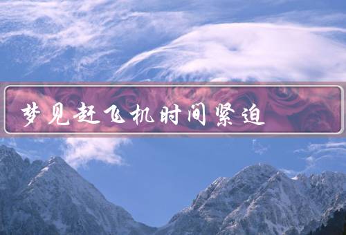梦见赶飞机时间紧迫，赶不上飞机／困难重重／梦醒时分