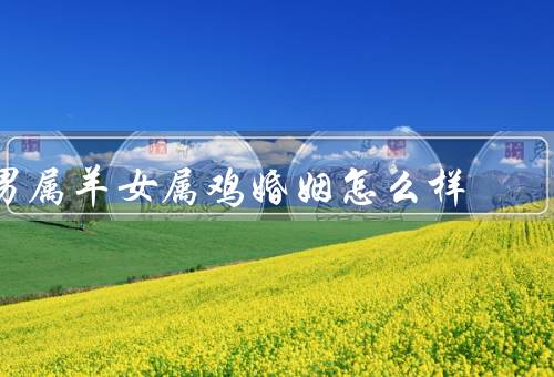 男属羊女属鸡婚姻怎么样（相互包容／互补优势／共同成长）
