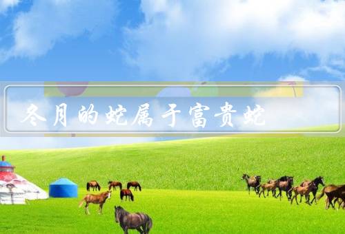 冬月的蛇属于富贵蛇（生活习性、繁殖特点、象征意义）