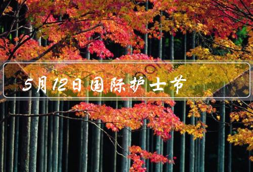 5月12日国际护士节（辛勤付出、精神、发展）