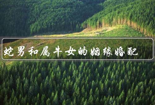 属蛇男和属牛女的姻缘婚配，个性特点、相互吸引、困难与解决办法