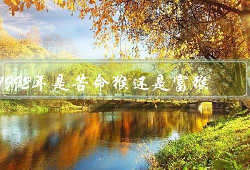 1992年是苦命猴还是富猴，经济的改革开放／对外关系