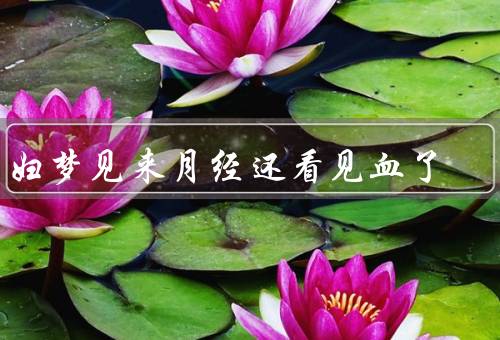 孕妇梦见来月经还看见血了（孕期的身体变化／孕妇的焦虑和担忧）