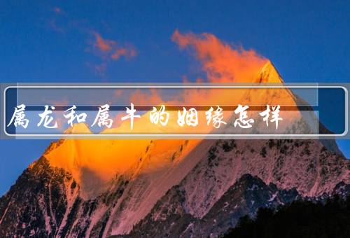 属龙和属牛的姻缘怎样，相似性／互补优势／共同成就