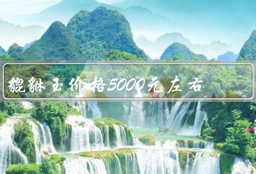 貔貅玉价格5000元左右，起源／特点／价格