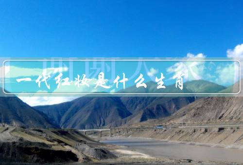 一代红妆是什么生肖，特点／事业和财运／爱情和婚姻