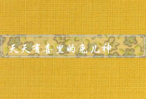 天天有喜里的兔儿神（机智／勇敢／善良）
