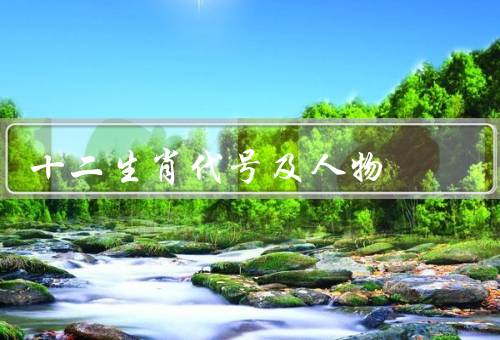 十二生肖代号及人物，鼠、牛、虎