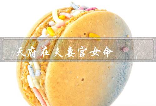 天府在夫妻宫女命（意义／对夫妻关系的影响／与家庭财富的关系）