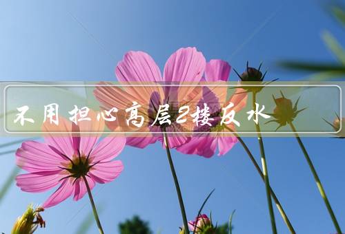 不用担心高层2楼反水，高层建筑的排水系统／阀门和密封系统的作用
