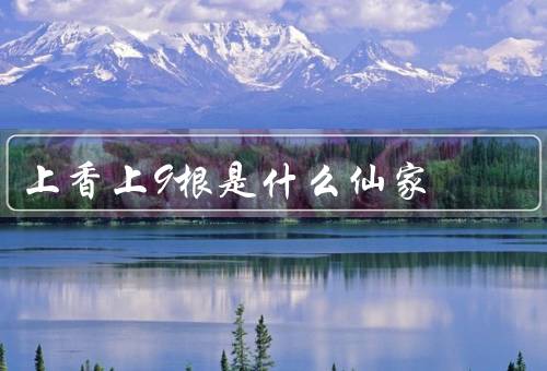 上香上9根是什么仙家，上香上9根的含义／上9根香的仙家