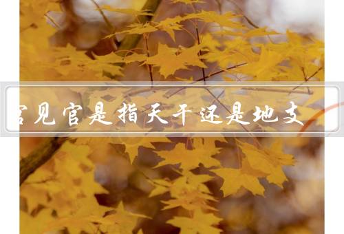 伤官见官是指天干还是地支，天干、地支、不同的解释和应用