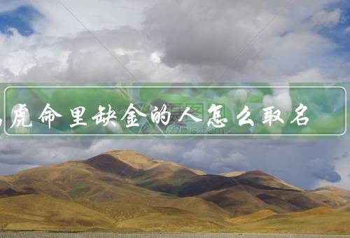 属虎命里缺金的人怎么取名，金字旁的字／五行金属性的字／其他事项